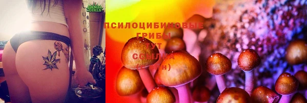 mdma Шадринск