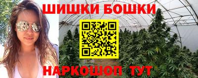 гашик Бузулук