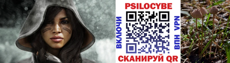 Галлюциногенные грибы мицелий  Острогожск 