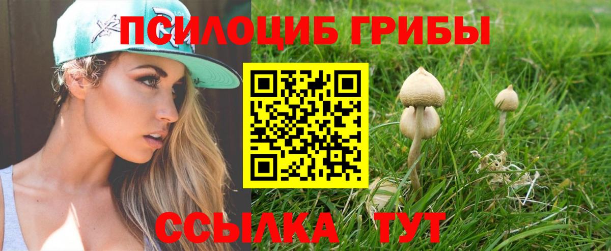 Острогожск  Галлюциногенные грибы MAGIC MUSHROOMS  Вход с VPN  Галлюциногенные грибы Magic Shrooms 